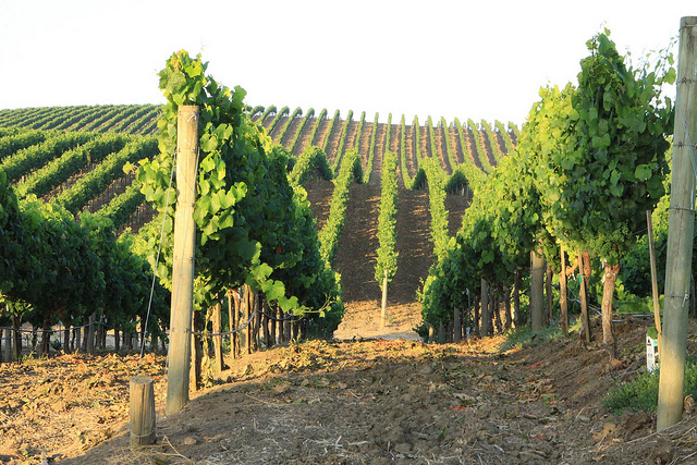 4834683150_d0fb8d33d0_z